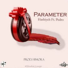 دانلود آهنگ جدید حاشیه و پدرو به نام پارامتر